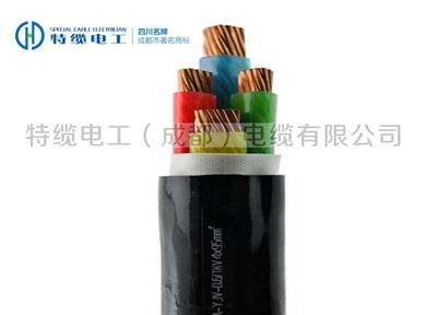 金頂電纜分享-環(huán)保電力電纜有哪些特點？