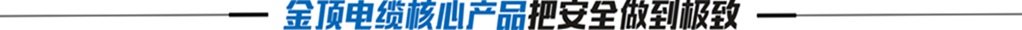 金頂電纜核心產(chǎn)品把安全做到極致