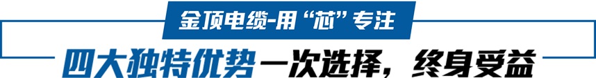 金頂電纜-用“芯”專(zhuān)注