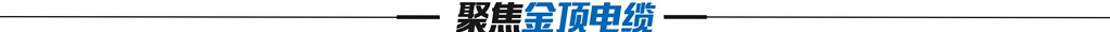 聚焦金頂電纜